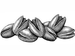 Pistachios art